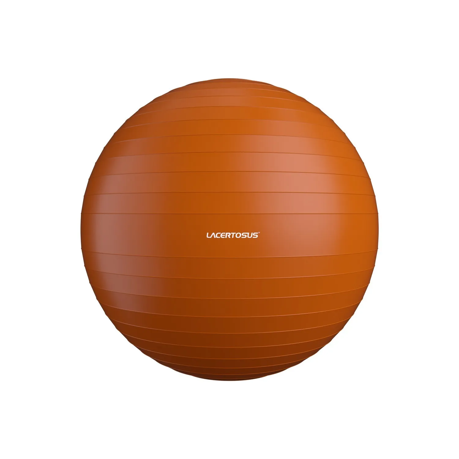 Moreel Mark samenvoegen Swiss Ball/ Gym Ball 55 cm - Lacertosus