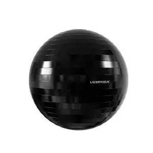 Swiss Ball ELITE 65 cm