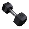 PRO HEX Rubber Dumbbell 1 Kg Hexagonal Dumbbells -